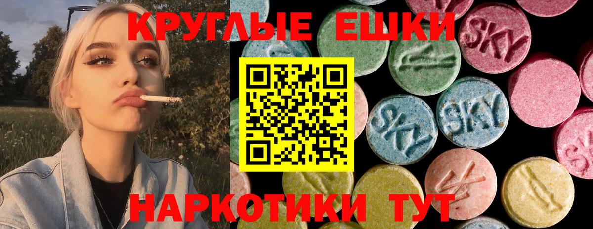 ЭКСТАЗИ Philipp Plein Зерноград