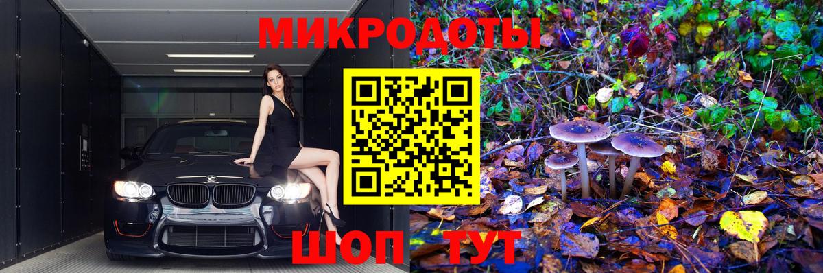 Галлюциногенные грибы Psilocybine cubensis  Вход с VPN  Зерноград 